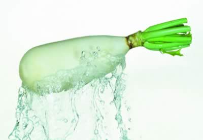 �����ܼ��ʵļ����߲�