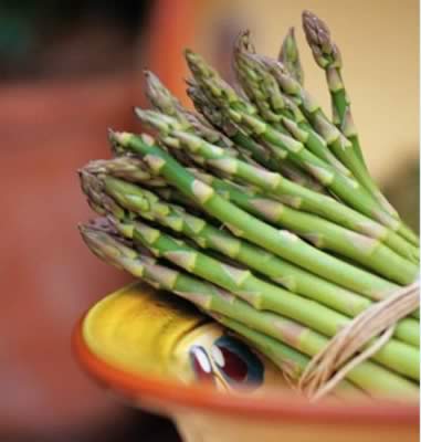 �����ܼ��ʵļ����߲�