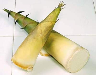 �����ܼ��ʵļ����߲�