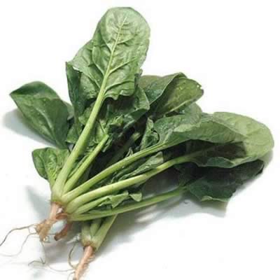 �����ܼ��ʵļ����߲�