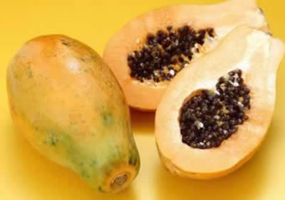 ������֬����15��ʳ��