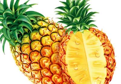 ������֬����15��ʳ��