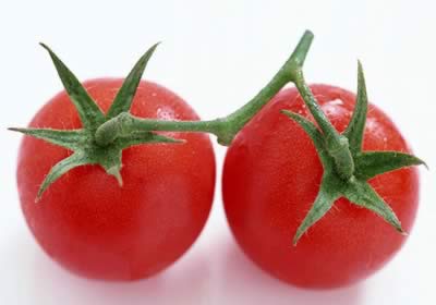 ������֬����15��ʳ��