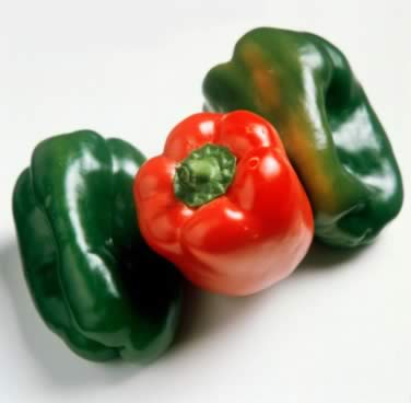 ������֬����15��ʳ��