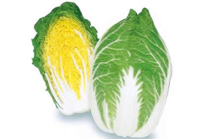 ������֬����15��ʳ��