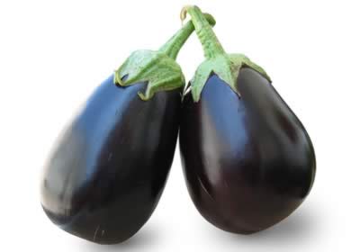 ������֬����15��ʳ��