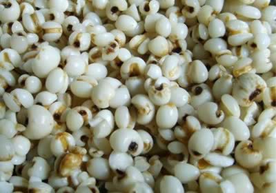 ������֬����15��ʳ��