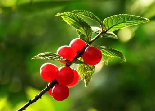 �����ӣ����ʮ�꿪ʼ��������