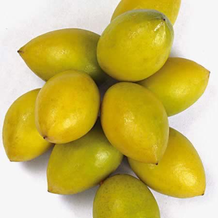 �����ӣ����ʮ�꿪ʼ��������