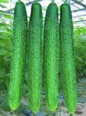 �����ӣ����ʮ�꿪ʼ��������