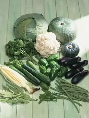 ������ɫѡ��ʳ���ܼ���