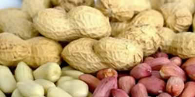 �ԶԺ���������� ͹�����´�����