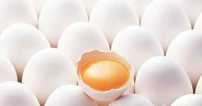 �ԶԺ���������� ͹�����´�����