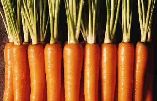 养颜慢生活 9种排毒好食材