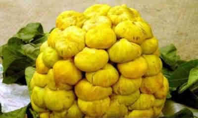 养颜慢生活 9种排毒好食材