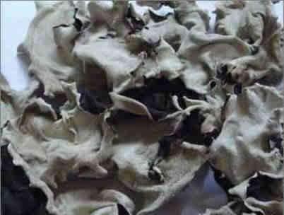 ���������� 9���Ŷ���ʳ��