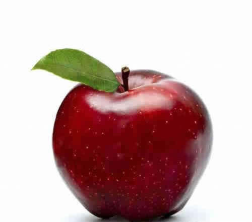 ���������� 9���Ŷ���ʳ��