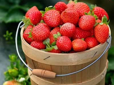 ��֢��ҩ�Զ�ʳ���ݶԵ�