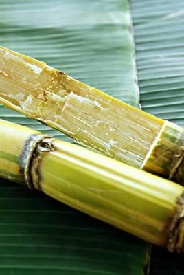 Ů��ʳ��������ʮ��ˮ����Ƥ����ʪ����ͼ��