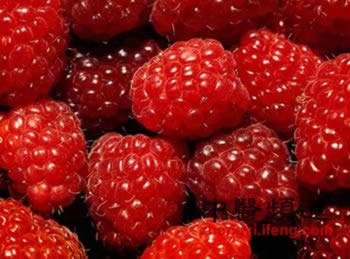 补血养生:补血补气 8种食物最管用