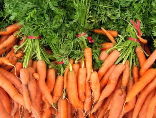 ���Ƥ����ϲ����ʲô