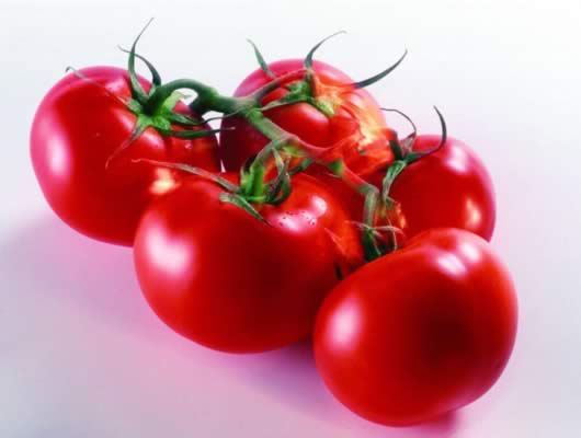 ���Ƥ����ϲ����ʲô