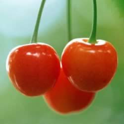 ������ӣ���۰� 30�겻������ʳ��