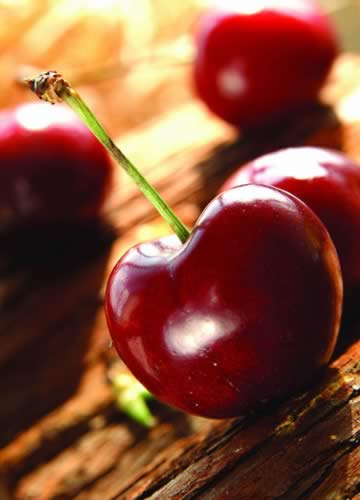 ���ѿ��ϱ�ʪ ����������ʧ��ʳ��