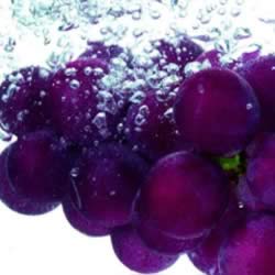 ���ѿ��ϱ�ʪ ����������ʧ��ʳ��