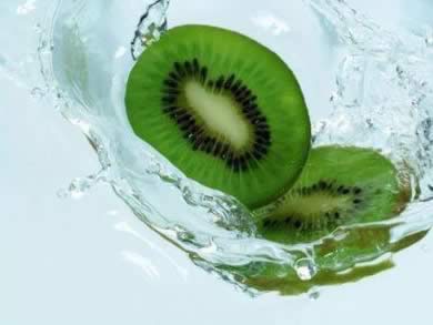 ��ʳ����:ʮ����ʳ������������