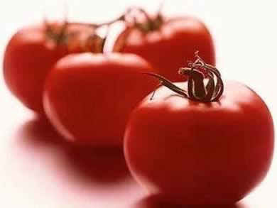 ��ʳ����:ʮ����ʳ������������