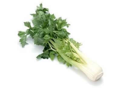 ��ʳ����:ʮ����ʳ������������