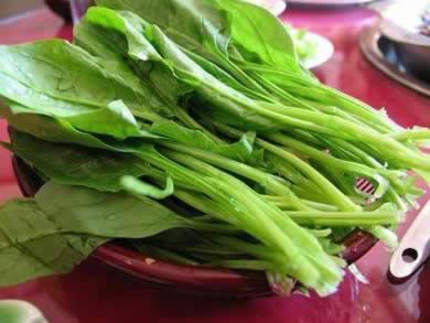 ��ʳ����:ʮ����ʳ������������