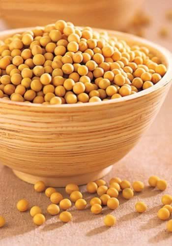 �Զ�����ʳ�� ������˵hello