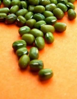 �̵�20�����Ǽ���������ʳ��