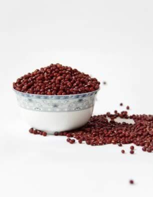 �̵�20�����Ǽ���������ʳ��