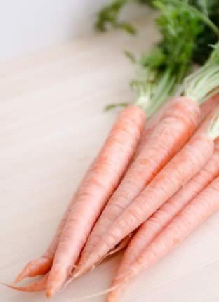 �̵�20�����Ǽ���������ʳ��