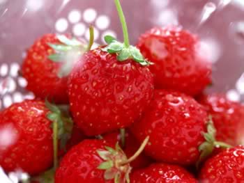 ��Щʳ�������岻ͬ��λ