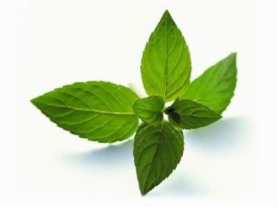 �������ܶ����ʳ�Ĵ�����