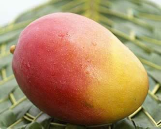 �𺦱��������ģ���ˮ��