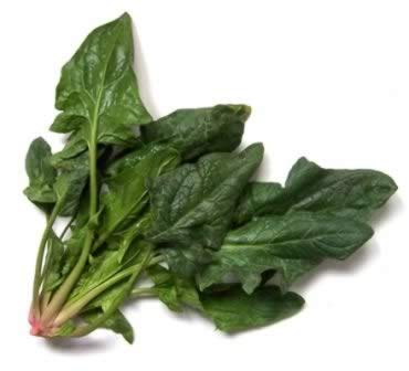 孕妇养生:七种食物对孕婴都有利