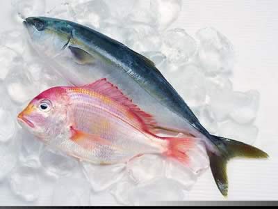 孕妇养生:七种食物对孕婴都有利