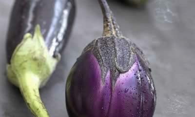 ���ӽ���ȥ���� �������7��ʳ��