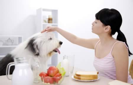 ��ǰ����ʳ�����