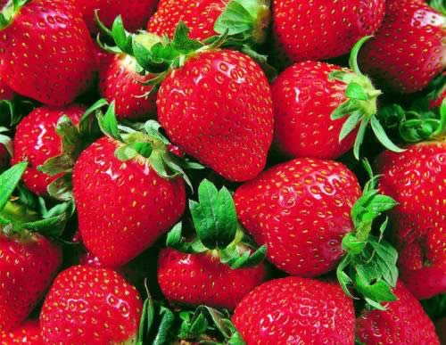 冬季保健水果10佳排行榜