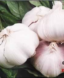 5�ֳ�ζʳ��ʮ�ֽ��� �������ʹ��