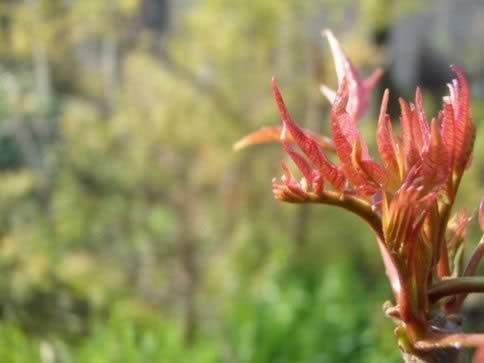 5�ֳ�ζʳ��ʮ�ֽ��� �������ʹ��