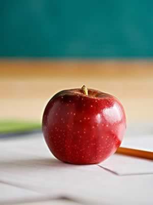 ƻ�������Ŷ� 7��ʳ��������׸��