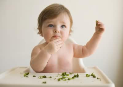 ������������ͯ��ʳ����Ҫ