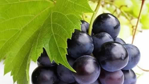 �＾ʳ�ƣ�������ѡ��ź ������ѡ����